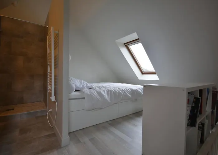 Charmante Maison A 100 M De La Du Crotoy Holiday home